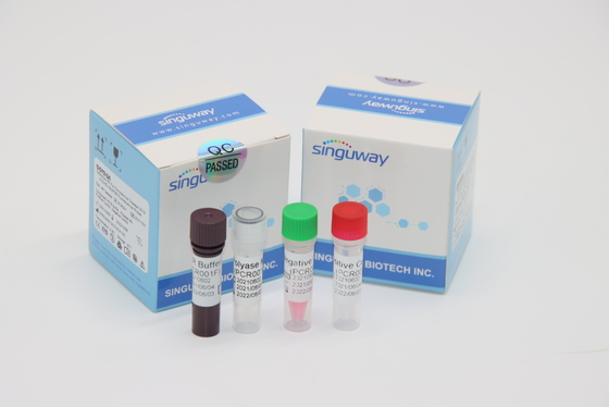 Het Virusrechts PCR Kenmerkend Kit Nasal Swab Within van de mycobacterieBuisrculose 30 Minuten