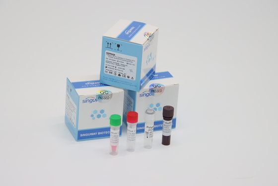 Laboratorium die rechts-PCR Covid PCR van het het L.P.virus van Testuitrustingen de Klinische Media Dubbele Uitrusting van de Zwabbersteekproef gebruiken