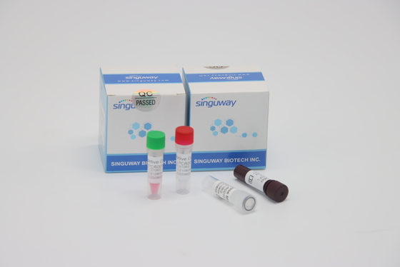 Het snelle rechts-PCR het Virus van Testkit quantitative fluorescerend for HFMD Testen
