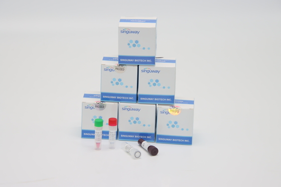 ISO9001 snelle het Virusrechts PCR van Helicobacter Pylori Test Kit High Accuracy