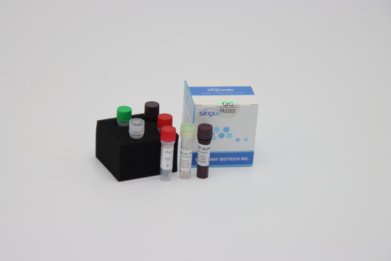 Laboratorium de Samengestelde Snelle rechts PCR Opsporing In echte tijd van Opsporingskit reagents for sars virus
