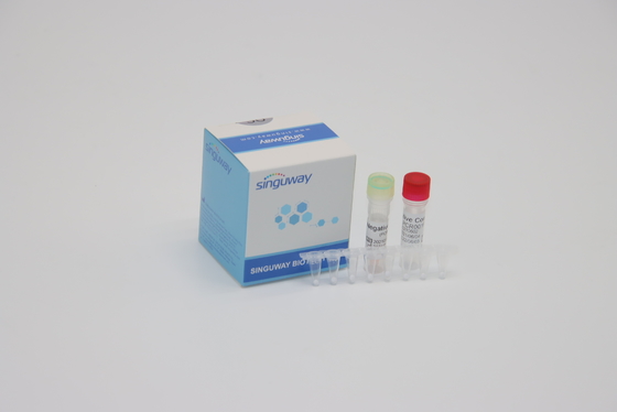 Klinische Diagnoseivd PCR Reagentiafluorescerendie die In echte tijd Één Stappcr Uitrusting sonderen
