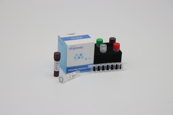 Moleculaire Diagnose Kwantitatieve PCR Opsporing Kit Reagent ISO13485 binnen 30 Mins