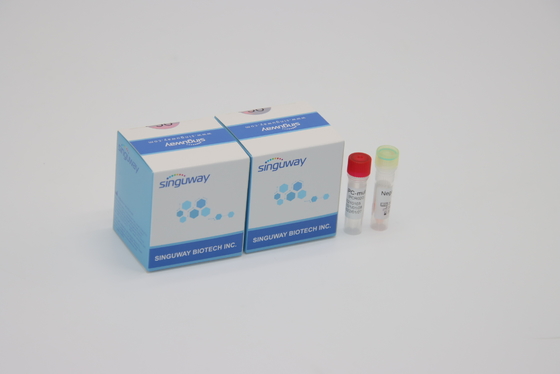 Kwantitatieve fluorescerende PCR Opsporingsuitrusting IVD voor Al Corona Virus Mutations