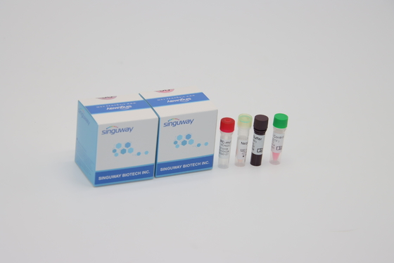 Alpha Beta Delta Gamma Mutations One-Stap QPCR Kit Oral Swab For Lab het Gebruiken