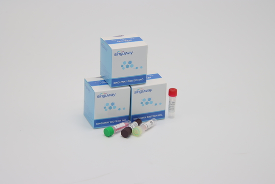 De Testpcr van Ce Coronavirus Kenmerkende Uitrustingen In echte tijd Ultrasnel binnen 30 Minuten