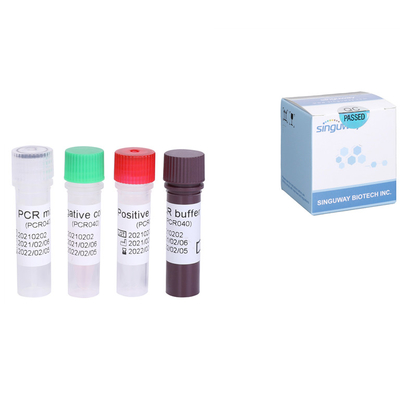 Van de RNAhcv Snelle Test van het hepatitisc Virus PCR van Kit Quantitative HCV rechts Uitrusting