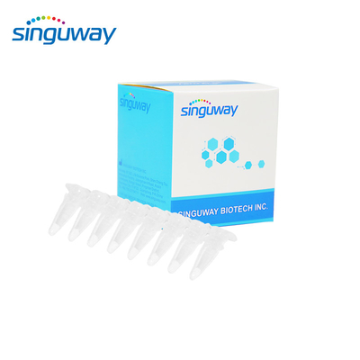 15 Typeshpv PCR Uitrustings40ul Kwalitatieve HPV PCR In real time Kit For Human