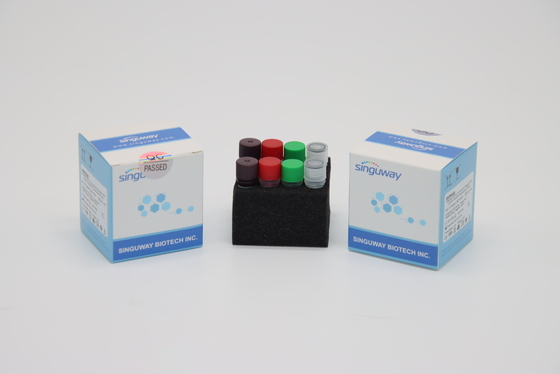 H1N1 PCR van het hondsdolheidsvirus rechts het Super Sensitive van Testkit Verzameling IVD voor het Ziekenhuis