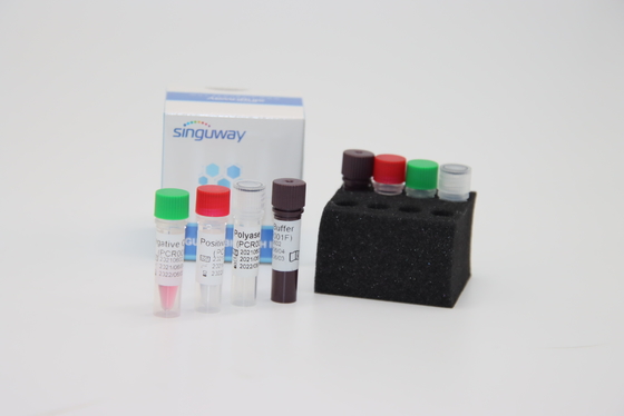 PCR van Boca Virus HBoV rechts PCR van de de Uitrustingsiso9001 Kwantitatieve fluorescerende Test van de Zwabbertest Uitrusting