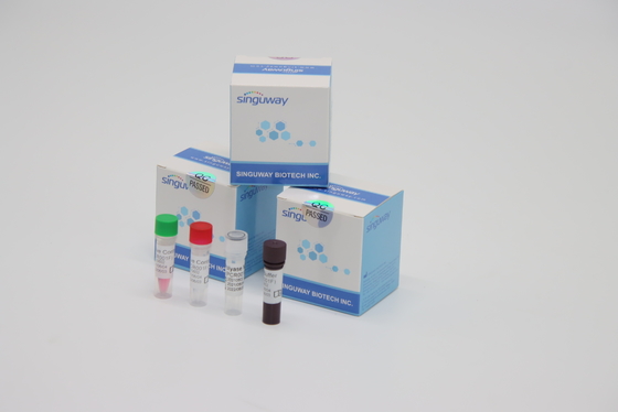 PCR van de laboratoriumreagens rechts het Virusvzv Opsporing van Testkit high stability for varicella Zoster