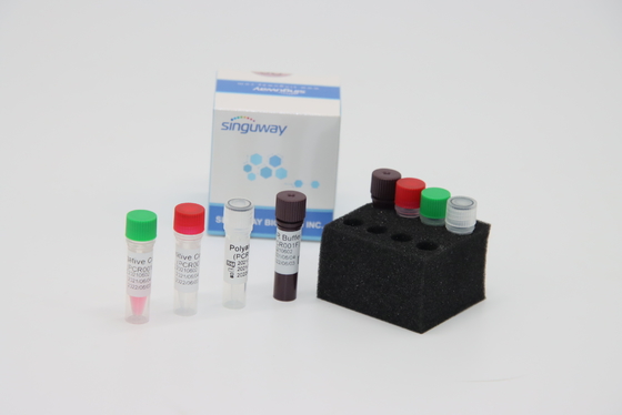 Mondelinge Zwabber hoogst Nauwkeurige rechts PCR IVD van de Inzamelingsuitrusting Laboratoriumreagens voor ADV-Virus het Testen