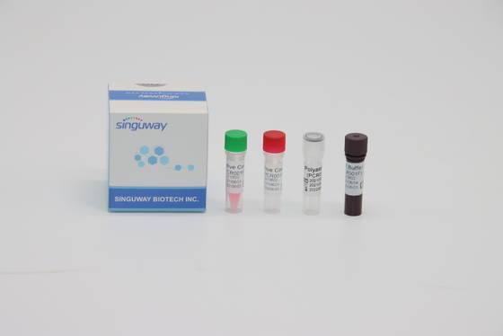 STB-Virusrechts PCR de Zure Testende Uitrusting van Testkit fluorescence probing rapid nucleïnezuur