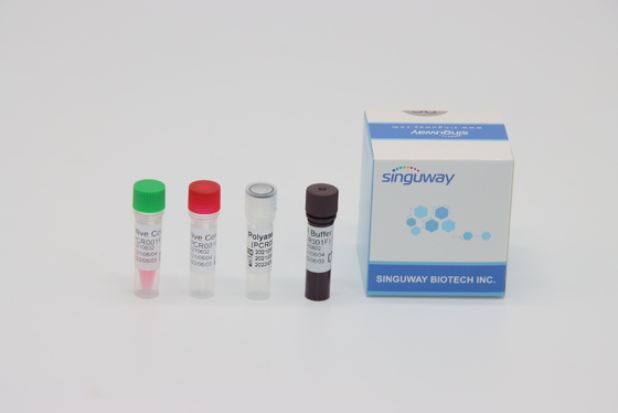 CMV Virusrechts PCR Test Kit echte tijd nucleïnezuur Acid die ISO13485 testen