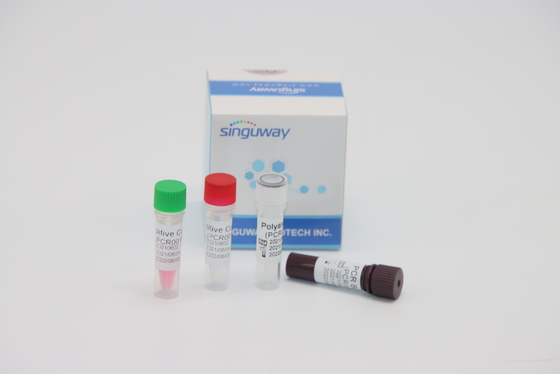 Het kwantitatieve Moleculaire Diagnoserechts PCR Virus van Testkit echte tijd for HPV Tox