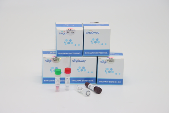 Ultrasnelle Thalassemia Virusrechts PCR die Kit Lab Using-TB PCR Uitrusting testen