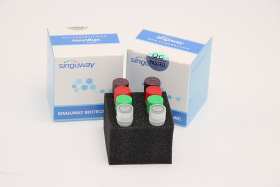 fluorescerend PCR van HCV rechts Ce In echte tijd van Kit Laboratory Use van de Uitrustingshsv2 Test