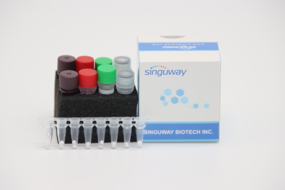IVD Kwantitatieve Snelle rechts PCR Kit For Avian Influenza een Virush7n9 Virus