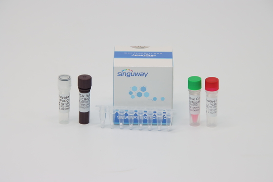 Nauwkeurige PCR van het Knokkelkoortsvirus rechts Testuitrusting 48 96 Tests per het Volume van de Uitrustings20ul Reactie