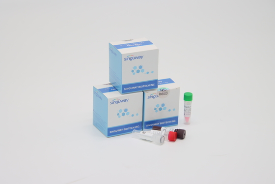 Snelle RSV-Virus Onmiddellijke rechts PCR Klinische de Diagnose Hoge Precisie van de Testuitrusting POCT IVD