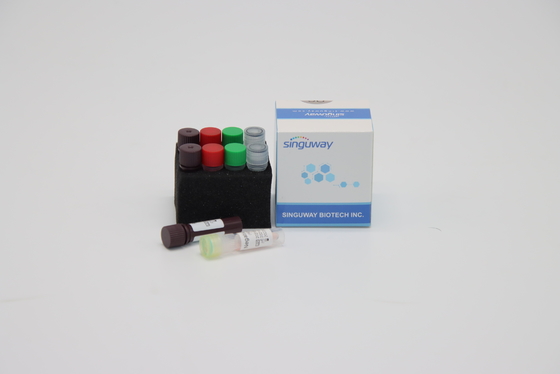 Ce Één Stappcr Virus In echte tijd van Kit For Hepatitis B van de Uitrustingshsv het Snelle Test