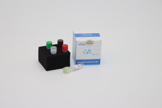 Hifi de Transcriptiepcr van Polymerasedna Omgekeerde Uitrustingsrechts PCR Reagentia Singuway