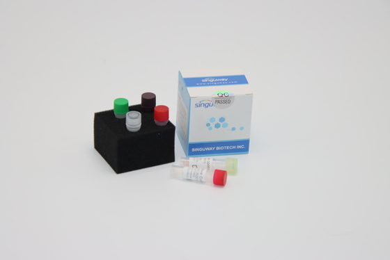 Ultrasnelle PCR van DNA van het Hondsdolheidsvirus PCR van Opsporingskit reagents required for