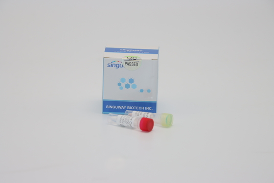 PCR Kit Nasal Swab fluorescerend rechts van nucleïnezuur Zuur Testende Knokkelkoorts rechts PCR Uitrusting