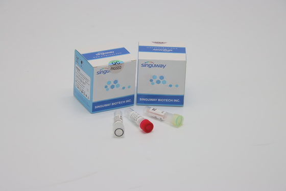 H3N2 Thalassemia PCR Opsporingsuitrusting 48 96 Tests Hoge Precisie