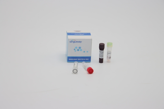 Mondelinge PCR van de Zwabbersteekproef Kwantitatieve Samengestelde Reactiereagentia ISO13485