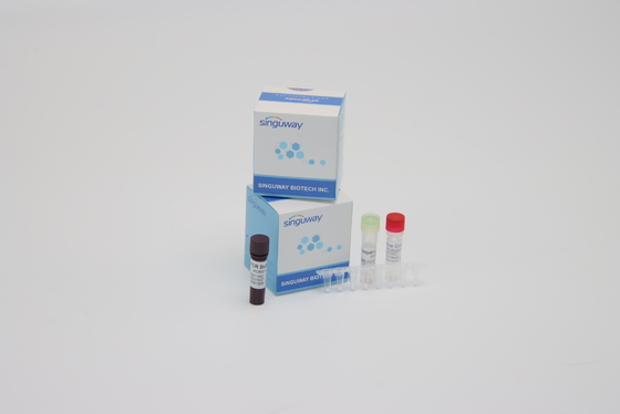 Super Sensitive Samengestelde PCR Kit Coronavirus nucleïnezuur Acid Detection Reagentia In echte tijd