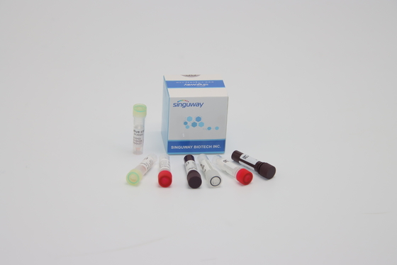 ORF1abhpv PCR Opsporing Kit nucleïnezuur Acid Genetic Testing voor Klinische Diagnose
