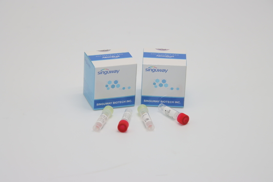 Ce-PCR Zwabbertest Kit Hepatitis B en c-de Klinische Diagnose van Testuitrustingen
