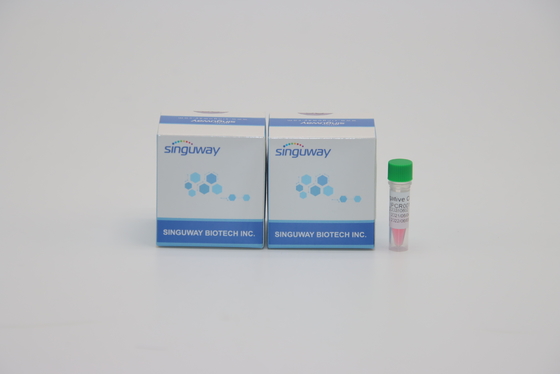 Hoge Precisie Snelle Staprechts PCR Kit Lab Reagent For Helicobacter Pylori HP