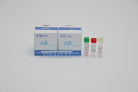 Griep een Griep B Één Stappcr In echte tijd Kit Highly Sensitive 96 Testshiv PCR Testuitrusting