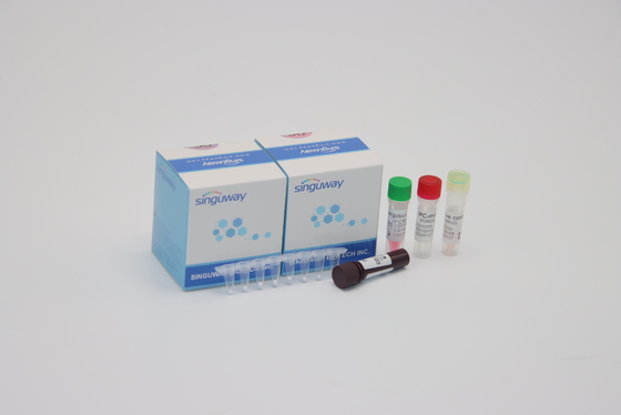 Ademhalings Syncytial Virale rechts-PCR Kenmerkende Uitrustingsrsv PCR Opsporing Kit Nasal Swab