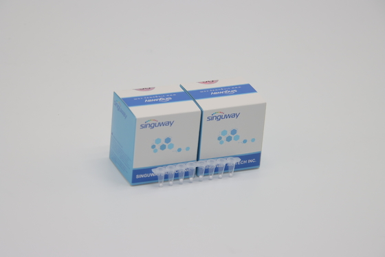 De hoge Stabiliteitshcv PCR Snelle Test In echte tijd Kit Lab Reagent ISO13485 van de Uitrustingshbv Hepatitis B