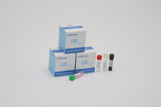 Het hoge Gevoeligheidspcr het Laboratorium van Opsporingskit alpha beta delta gamma mutations for Gebruiken