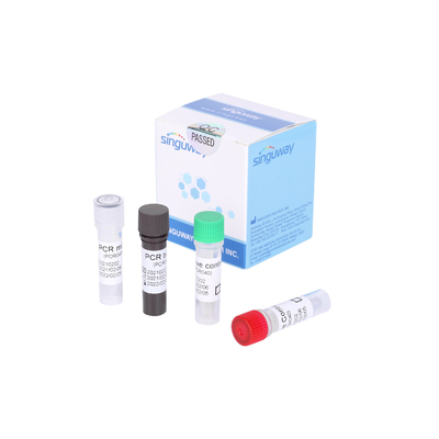 Snelle Snelle Covid In echte tijd 19 die PCR Kit Detection Within testen 30 Minuten
