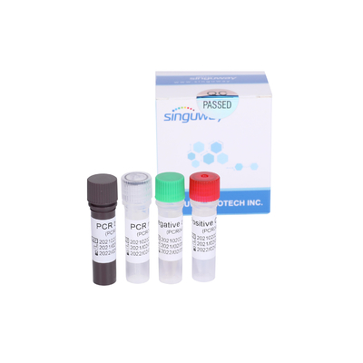 PCR van Singuwaycoronavirus Snelle rechts Testuitrusting O N.O. Gene Detection Fluorescence sonde