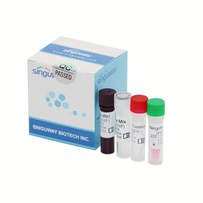 Hoge Precisie covid-19 PCR Opsporing In echte tijd Kit fluorescerend sonde 50 Copies/Ml