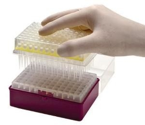 Laboratorium Voor consumptie geschikte PCR Beschikbare Micropipette van Pipetuiteinden Uiteinden 10-1250μL