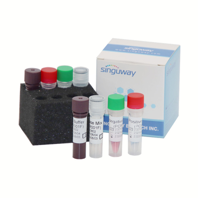 Huis Kwalitatief MTHFR Gene Test Kit 50uL Volume 2000 Copies/ML-Gevoeligheid