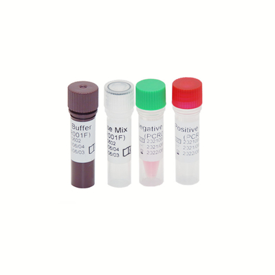 HBV HCV hiv-1 Genoomrechts PCR Test Kit High Sensitivity 30 IU/ML